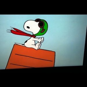 Meet your Posher, Dan